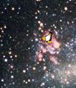 Large Magellanic Cloud Before Supernove 1987